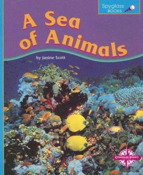 Paperback A Sea of Animals (Spyglass Books: Life Science) Book