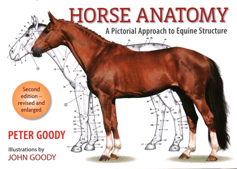 Paperback Horse Anatomy: A Pictorial Approach to Equine Structure Book