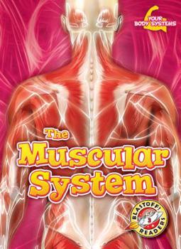 Paperback The Muscular System Book