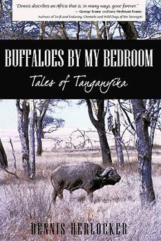 Paperback Buffaloes by My Bedroom Book
