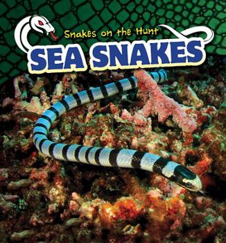 Paperback Sea Snakes Book