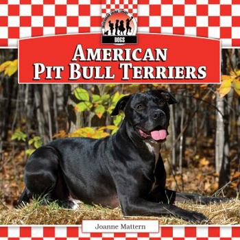 Library Binding American Pit Bull Terriers Book