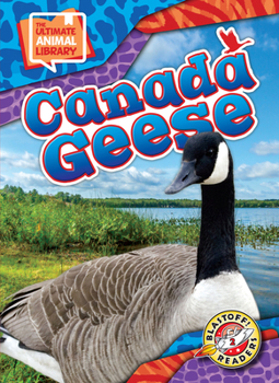 Library Binding Canada Geese Book