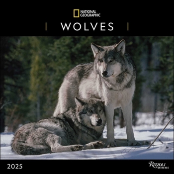 Calendar National Geographic: Wolves 2025 Wall Calendar Book
