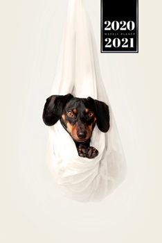 Dachshund Dog Calendar Week Planner 2020 / 2021 - Hang Out: Pup Puppy Doggie Pet Owner Weekly Bullet Journal Notebook Diary in 6” x 9” Inch Pocket Size