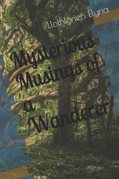 Paperback Mysterious Musings of a Wanderer Book
