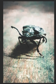 Paperback Bockk?fer notizbuch [German] Book