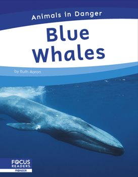 Paperback Blue Whales Book