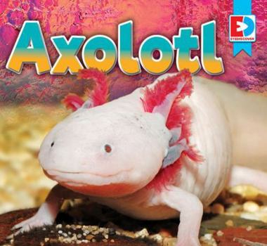 Axolotl