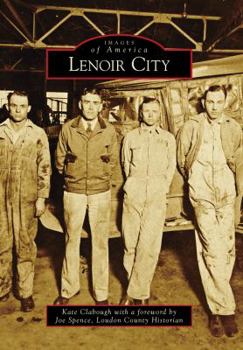 Paperback Lenoir City Book