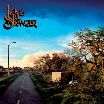 Vinyl Love The Stranger Book