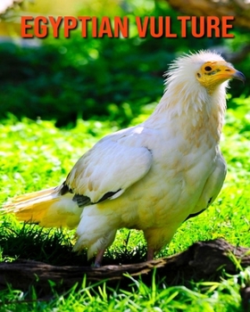 Paperback Egyptian Vulture: Amazing Facts & Pictures Book