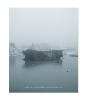 Hardcover Roni Horn: Water Water on the Wall, You're the Fairest of Them All Book