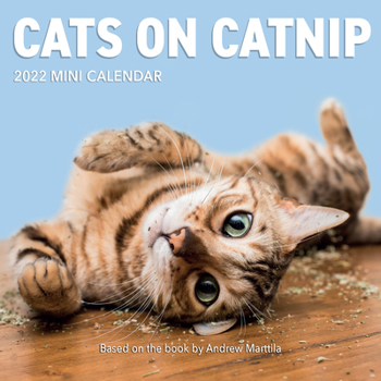 Calendar Cats on Catnip Mini Wall Calendar 2022: Cats on Catnip Mini Book