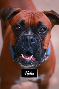 Boxer Dog Pup Puppy Doggie Notebook Bullet Journal Diary Composition Book Notepad - Waiting For Food: Cute Animal Pet Owner Composition Book with 100 Dotted Dot Grid Paper Pages in 6 x 9 Inch