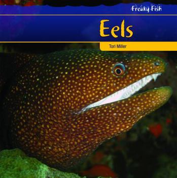 Library Binding Eels Book