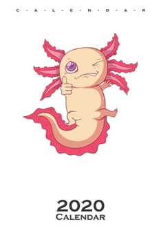 Monster winks Calendar 2020: Annual Calendar for animal friends and all who have pets