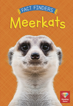 Paperback Meerkats Book