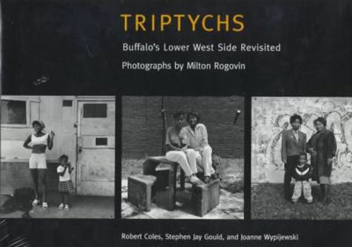 Hardcover Triptychs: Buffalo's Lower West Side Revisited Book