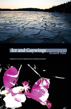 Paperback Ice and Gaywings Book