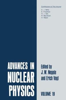 Paperback Advances in Nuclear Physics: Volume 19 Book