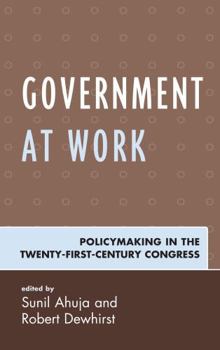 Hardcover Government at Work: Policymaking in the Twenty-First-Century Congress Book