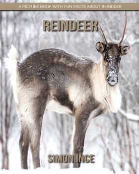 Paperback Reindeer: A Picture Book with Fun Facts about Reindeer Book