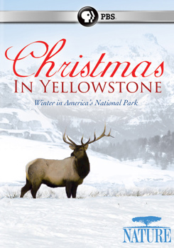 DVD Nature: Christmas in Yellowstone Book