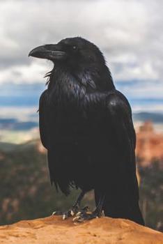 The Call of the Crow Notebook: For Pagans
