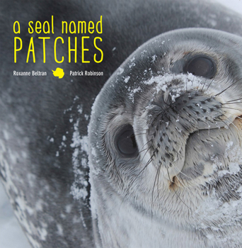 Hardcover A Seal Named Patches Book