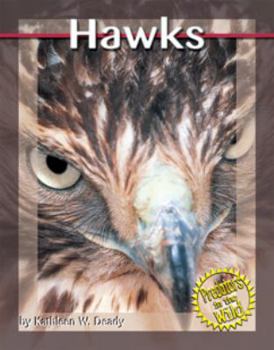 Hardcover Hawks Book