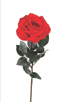 Paperback I Love You Book