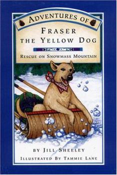 Hardcover Rescue on Snowmass Mountain Book