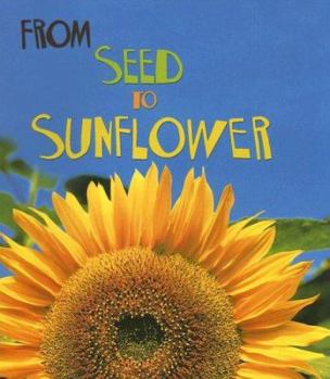 From Seed to Sunflower (Heinemann First Library) - Book  of the How Living Things Grow