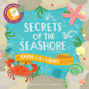 Hardcover Secrets of the Seashore Book