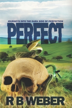Paperback Perfect: A Collection of Short Stories about the Dark Side of Perfection Book