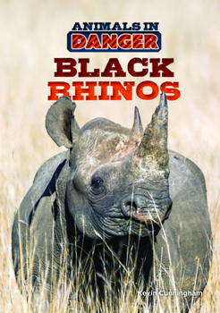 Black Rhinos (Animals in Danger)
