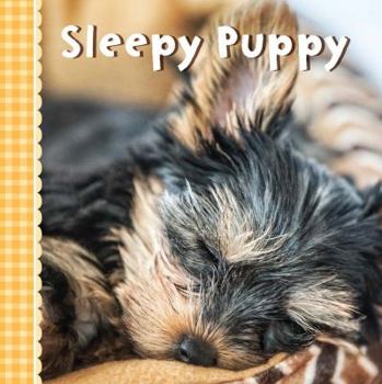 Board book Sleepy Puppy Book