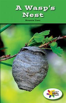 Paperback A Wasp's Nest Book