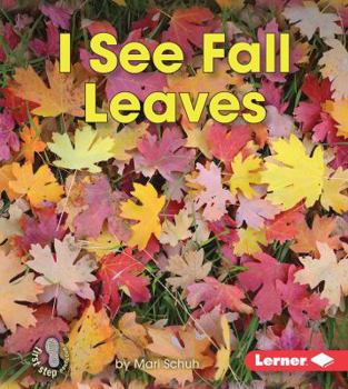 Library Binding I See Fall Leaves Book