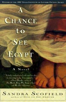 Paperback A Chance to See Egypt Book