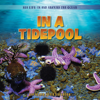 Paperback In a Tidepool Book