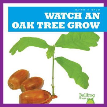 Mira Cómo Crece un Roble / Watch an Oak Tree Grow - Book  of the Míralo Crecer / Watch It Grow