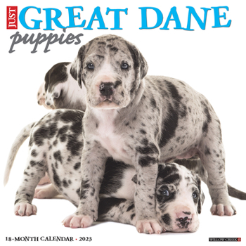 Calendar Just Great Dane Puppies 2023 Wall Calendar Book