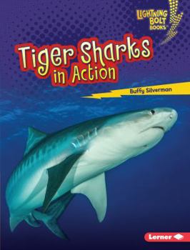 Library Binding Tiger Sharks in Action Book