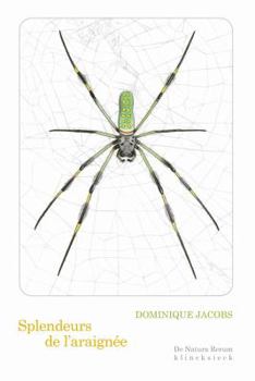 Paperback Splendeurs de l'Araignee [French] Book