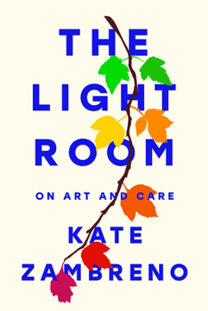 Hardcover The Light Room Book