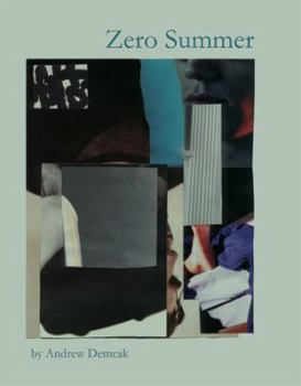Paperback Zero Summer Book
