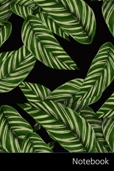 Notebook: Leaves,  Pattern,  Tropical,  Green Notebook / Journal / Diary / Composition book - 6 x 9 inches (15,24 x 22,86 cm), 150 pages, glossy finish.