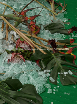 Paperback Abbas Akhavan: Variations on a Garden Book